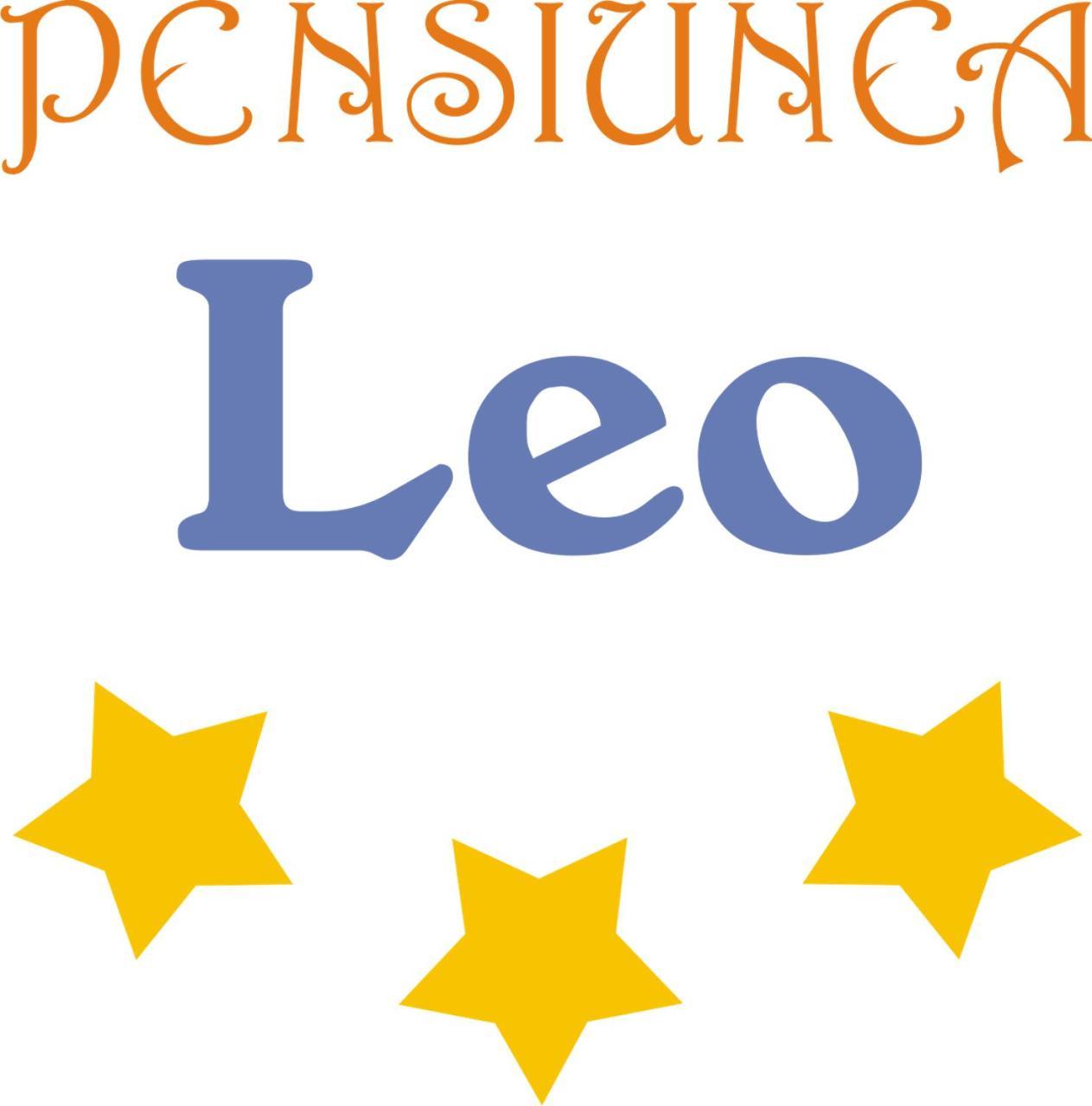 Pensiunea Leo Braşov Buitenkant foto
